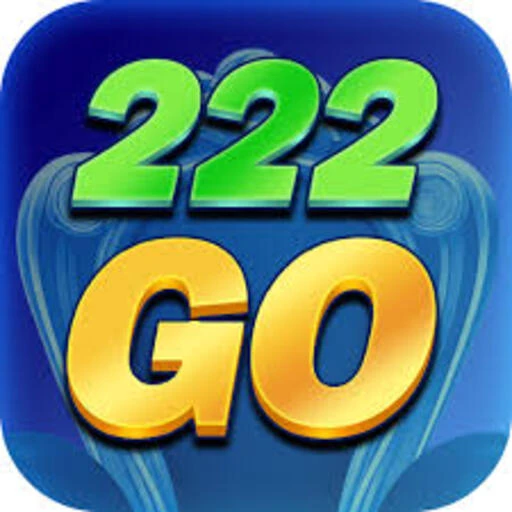 222go Logo